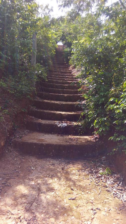 Sekondi-Takoradi Abuesi Beach Resort מראה חיצוני תמונה